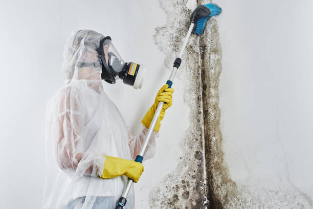 Certified Mold Removal in Matthews, NC