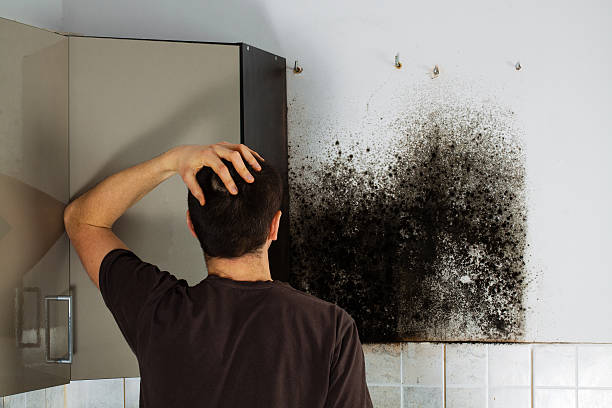  Matthews, NC Mold Removal Pros